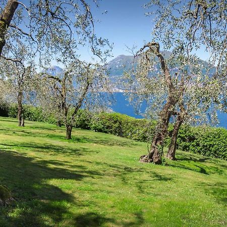 Villa Dismero-Un Oasi Di Lusso E Privacy Brenzone sul Garda Exterior foto